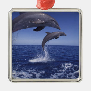 Caribbean, Bottlenose dolphins Metal Tree Decoration