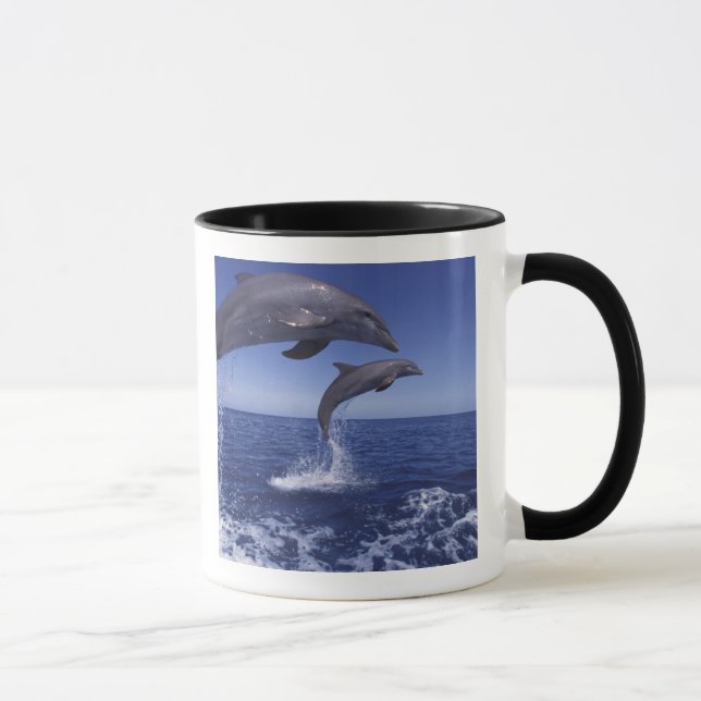 Caribbean, Bottlenose dolphins Mug (Right)