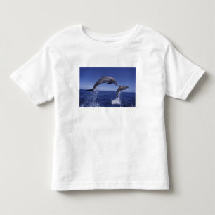 Caribbean, Bottlenose dolphins Toddler T-Shirt
