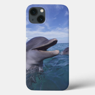 Caribbean, Bottlenose dolphins Tursiops 5 iPhone 13 Case