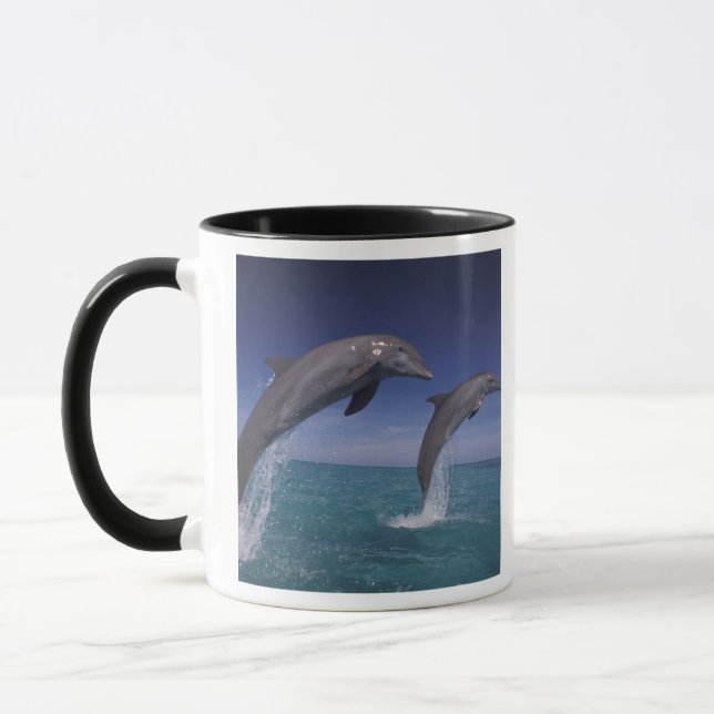 Caribbean, Bottlenose dolphins Tursiops Mug (Left)