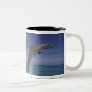 Caribbean, Bottlenose dolphins Tursiops Two-Tone Coffee Mug