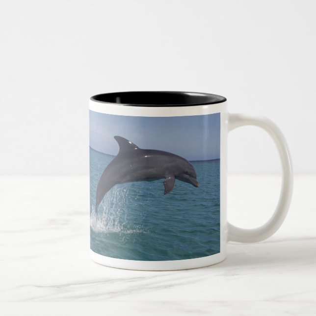 Caribbean, Bottlenose dolphins Two-Tone Coffee Mug (Right)