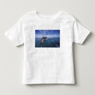 Caribbean, Bottlenose Toddler T-Shirt