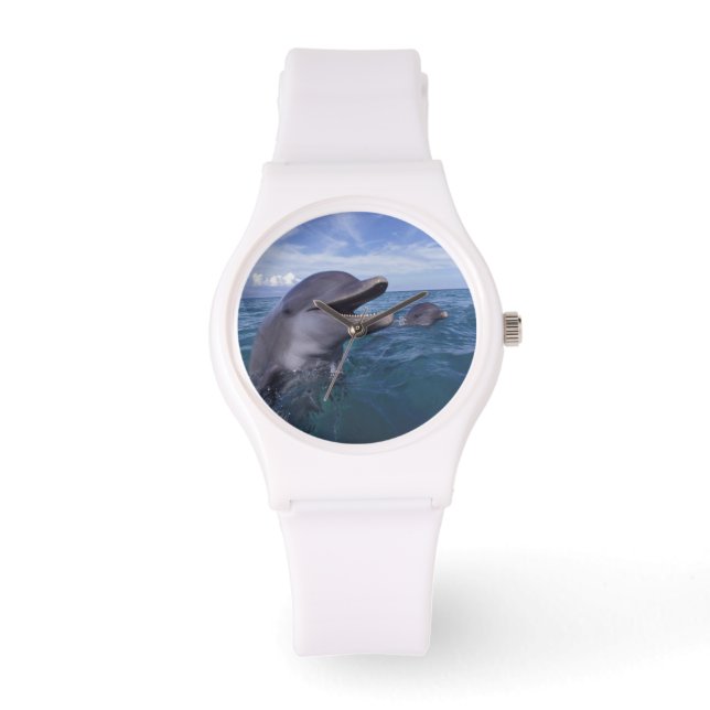 Caribbean, Bottlenose Watch (Front)