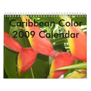 Caribbean Colour...The Flowers Calender 2009 Calendar