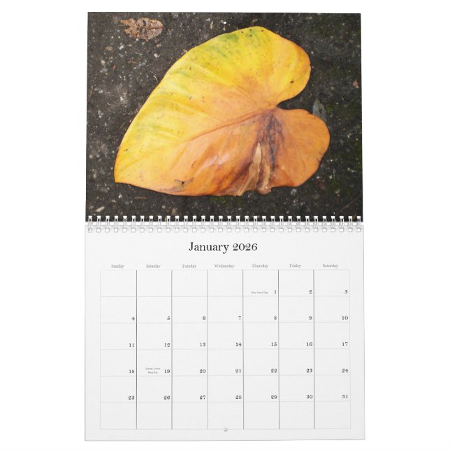 Caribbean Colour...The Flowers Calender 2009 Calendar (Jan 2026)