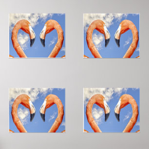 Caribbean flamingo love heart
