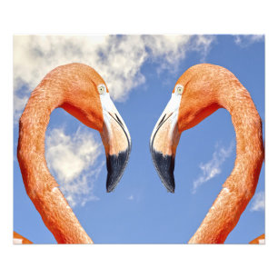 Caribbean flamingo love heart photo print