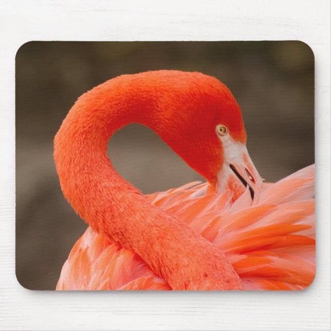 Caribbean flamingo mouse pad (Front)