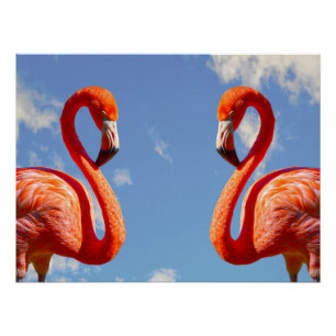 Caribbean flamingo pair poster