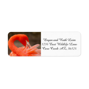 Caribbean flamingo return address label