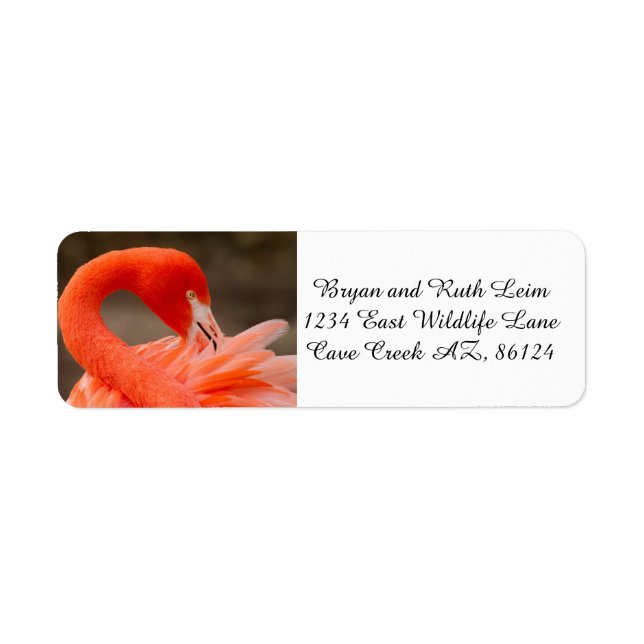 Caribbean flamingo return address label (Front)