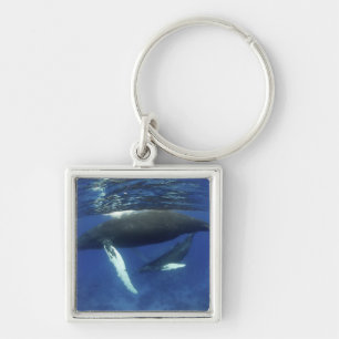 Caribbean, Greater Antilles archipelago, Key Ring