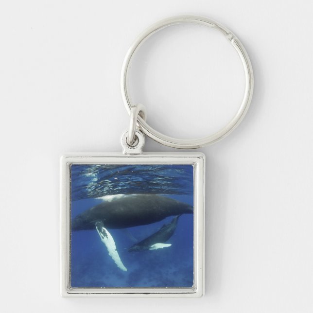 Caribbean, Greater Antilles archipelago, Key Ring (Front)