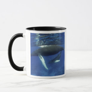 Caribbean, Greater Antilles archipelago, Mug