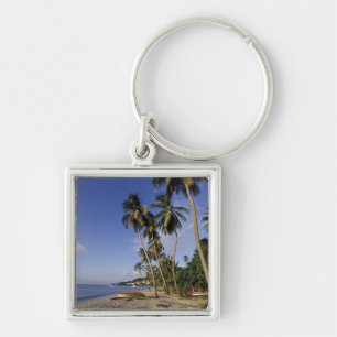 CARIBBEAN, Grenada, St. George, Boats on palm Key Ring