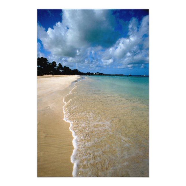 Caribbean, Leeward Islands, Antigua, Dickenson Photo Print (Front)
