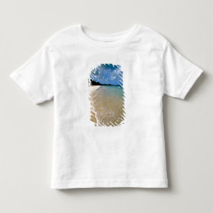 Caribbean, Leeward Islands, Antigua, Dickenson Toddler T-Shirt