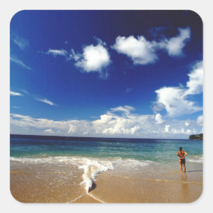 Caribbean, Lesser Antilles, West Indies, 2 Square Sticker