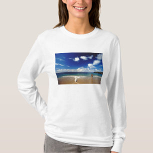 Caribbean, Lesser Antilles, West Indies, 2 T-Shirt