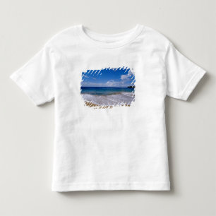 Caribbean, Lesser Antilles, West Indies, 4 Toddler T-Shirt