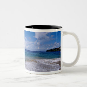 Caribbean, Lesser Antilles, West Indies, 4 Two-Tone Coffee Mug
