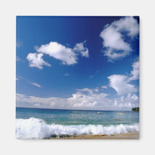 Caribbean, Lesser Antilles, West Indies, 5 Magnet