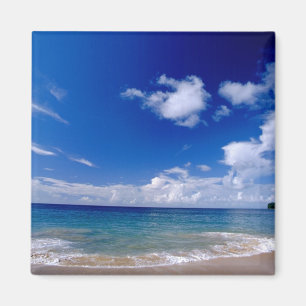 Caribbean, Lesser Antilles, West Indies, Magnet
