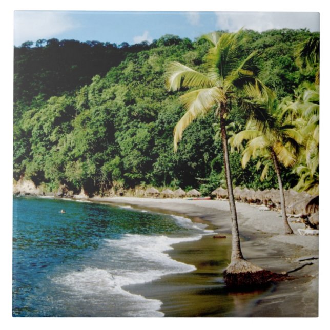 Caribbean, Lesser Antilles, West Indies, Saint Ceramic Tile (Front)