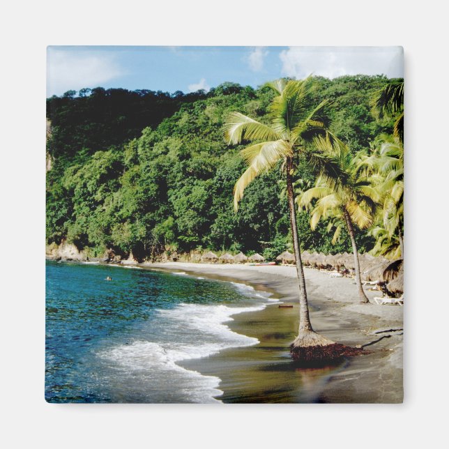 Caribbean, Lesser Antilles, West Indies, Saint Magnet (Front)