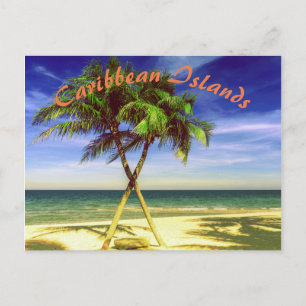 Caribbean Palm Tree Tropical Island Beach Postcard