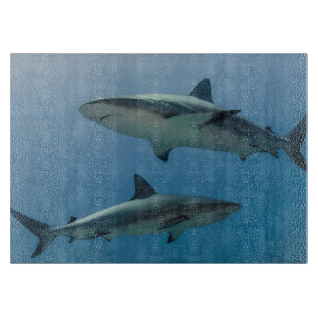 Caribbean Reef Shark Cutting Board (Front)