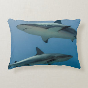 Caribbean Reef Shark Decorative Cushion