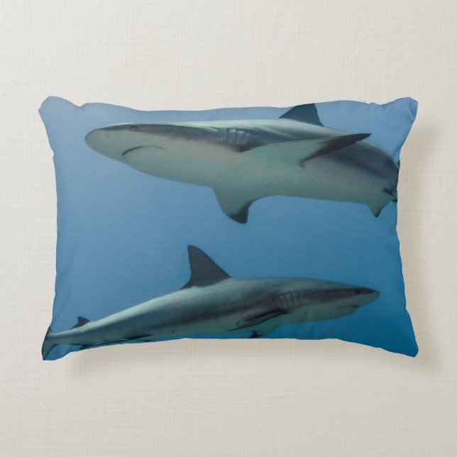 Caribbean Reef Shark Decorative Cushion (Front)
