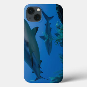 Caribbean Reef Shark Jardines de la Reina iPhone 13 Case