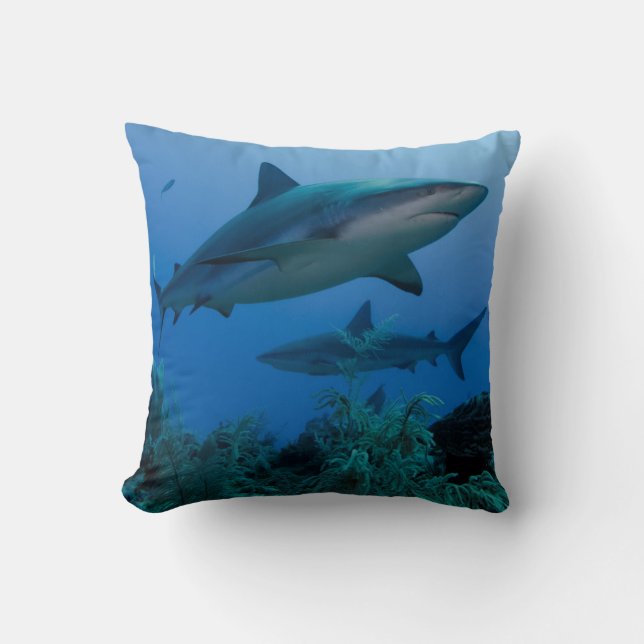 Caribbean Reef Shark Jardines de la Reina Cushion (Front)