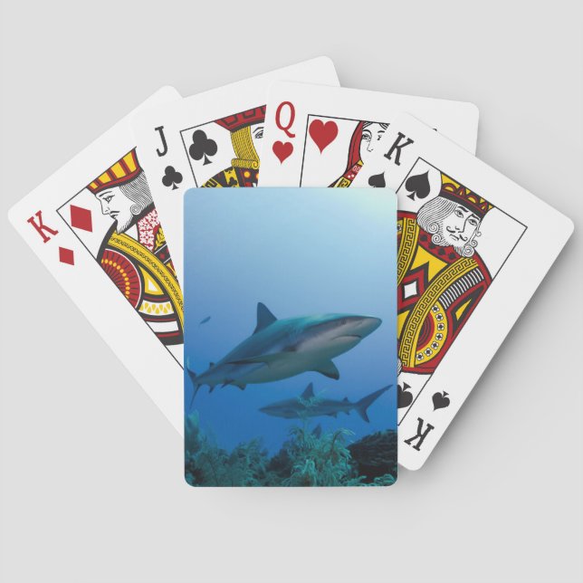 Caribbean Reef Shark Jardines de la Reina Playing Cards (Back)