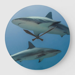 Caribbean Reef Shark Large Clock