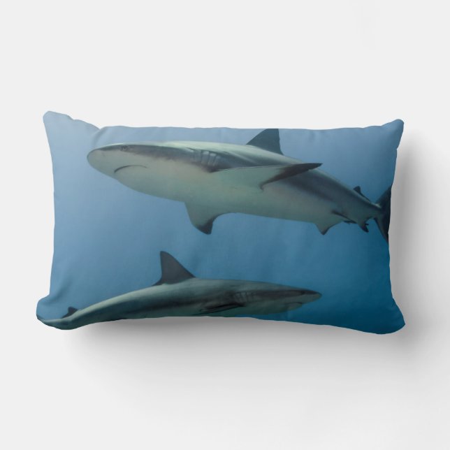 Caribbean Reef Shark Lumbar Cushion (Front)