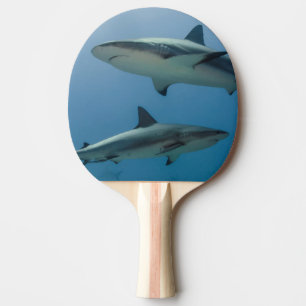 Caribbean Reef Shark Ping Pong Paddle