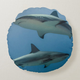 Caribbean Reef Shark Round Cushion