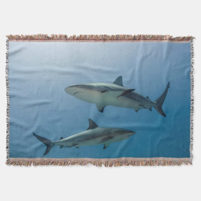 Caribbean Reef Shark Throw Blanket (Front)