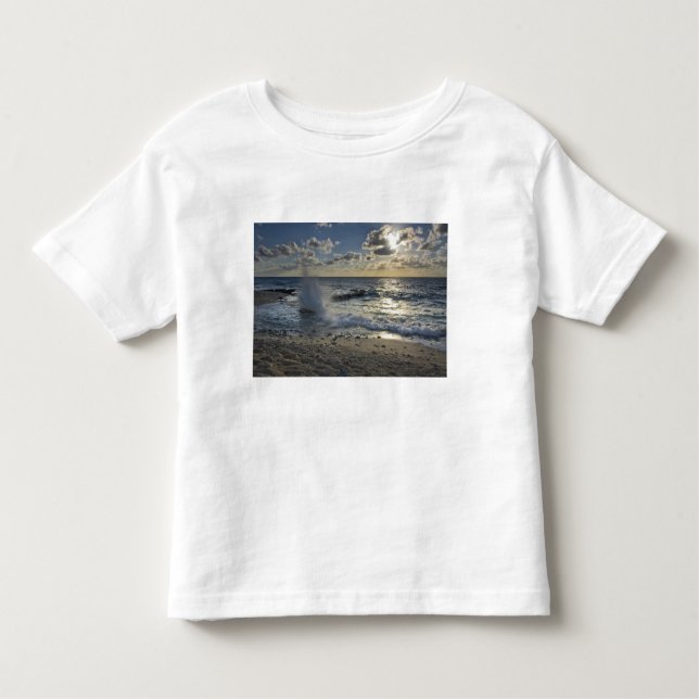 Caribbean Sea, Cayman Islands.  Crashing waves Toddler T-Shirt (Front)