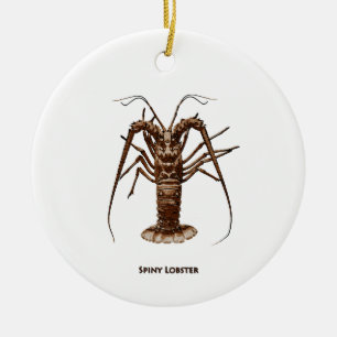 Caribbean Spiny Lobster Ceramic Tree Decoration