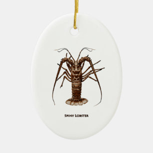 Caribbean Spiny Lobster Ceramic Tree Decoration
