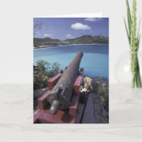 CARIBBEAN, St. Barts, Connon aiming into Bay of