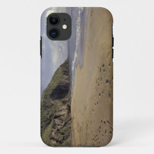 Caribbean, St. Kitts. Footprints on Atlantic iPhone 11 Case