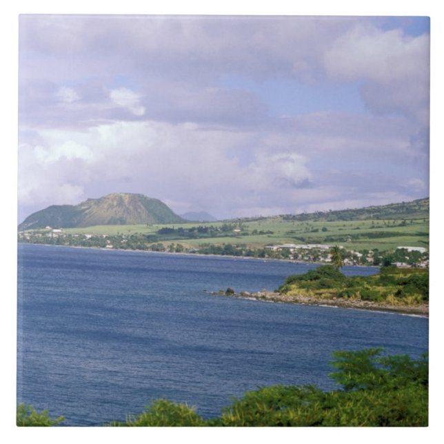 Caribbean, St. Kitts, Roseau. Coast. Tile (Front)