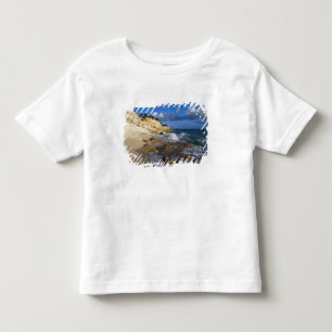 Caribbean, St. Martin, Cliffs at Cupecoy beach Toddler T-Shirt